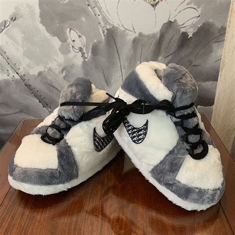 big jordan dior house shoes